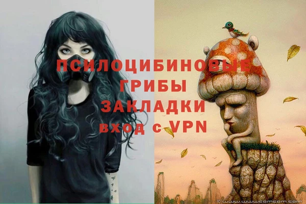 шишки Верхнеуральск